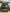 Frigidaire Black 4 Burner Gas Stove- 18080