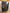 (NEW)Frigidaire Black Side by Side Fridge w Water/Ice Maker 36