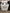 Hotpoint White 4 Burner Gas Stove - 21573