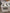 (NEW) Amana White 4 Coil Electric Stove- 20465