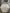 Whirlpool White Washer- 21069