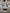 Frigidaire White 4 Burner Gas Stove- 21169