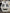 Frigidaire White 4 Burner Gas Stove- 21254